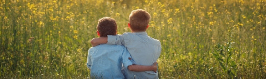 Two boys facing away from the camera hugging