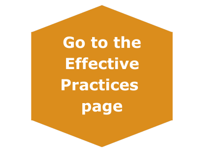 Link to Effective Practices page