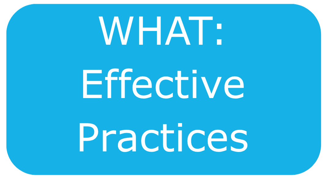 ANEW, WHAT: Effective Practices