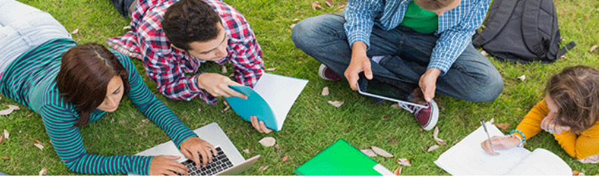 A group of young people outside studying together