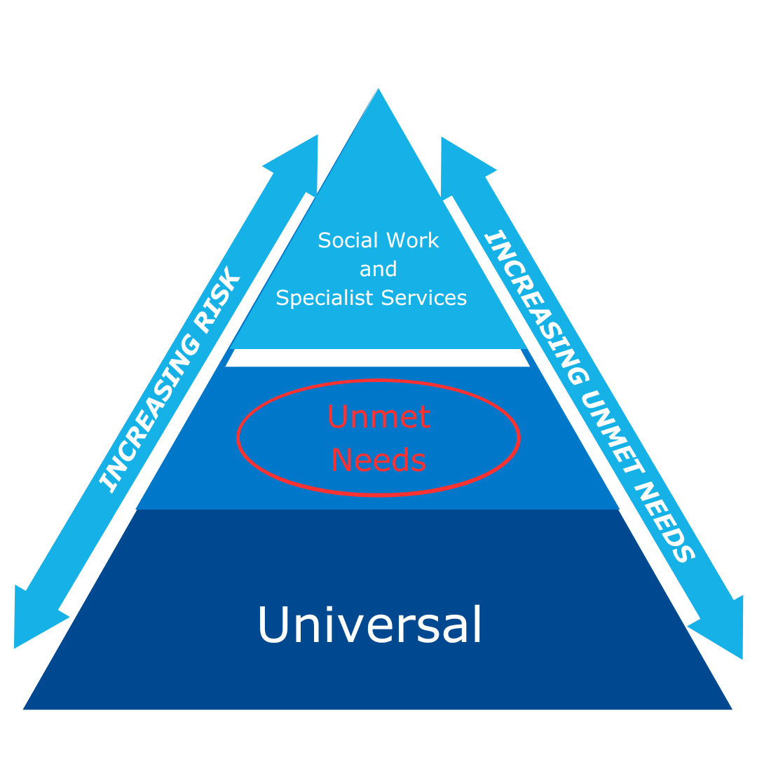 A diagram showing the connection between increasing risk and increasing unmet needs in social work