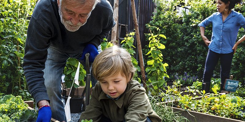 An adult and child gardening