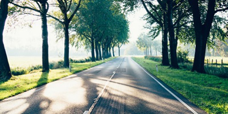 A long straight road with trees either side