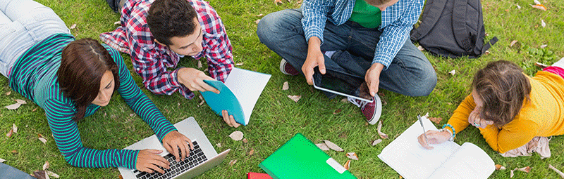 Students studying on a lawn